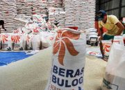 Aman hingga Akhir Tahun, Wamentan Tegaskan Stok Beras Nasional Mencukupi