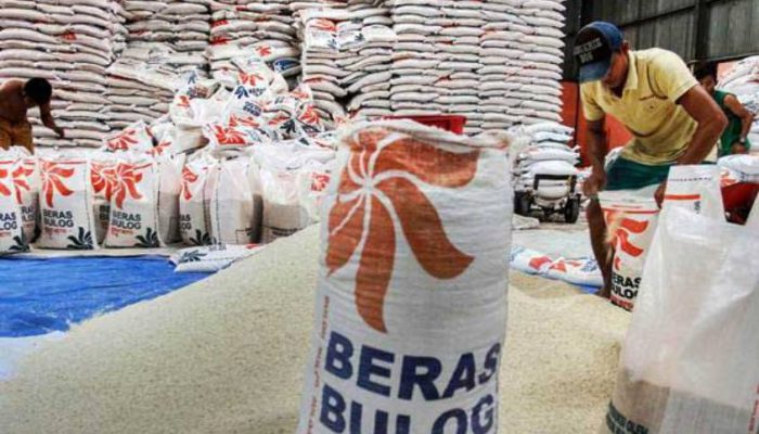 Aman hingga Akhir Tahun, Wamentan Tegaskan Stok Beras Nasional Mencukupi