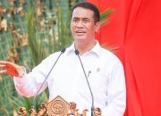 Mentan Amran Pastikan Pasokan Beras Aman, Harga Turun, Masyarakat Tidak Perlu Khawatir