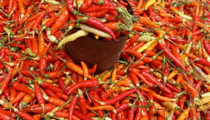 Harga Cabai Rawit di Kediri Kembali Melonjak, Pasokan Mulai Menipis