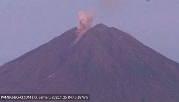 Gunung Semeru Kembali Erupsi, Kolom Abu Capai 800 Meter, Warga Diminta Tingkatkan Kewaspadaan