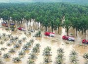 Kerusakan Bencana di Aceh, Sumut, dan Sumbar Diperkirakan Capai Rp51,82 Triliun