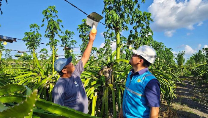 PLN Jatim Siagakan 5.451 Personel, Amankan Pasokan Listrik Selama Natal 2025 dan Tahun Baru 2026