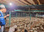 Pemerintah Pastikan Tarif Listrik Triwulan I 2026 Tidak Naik