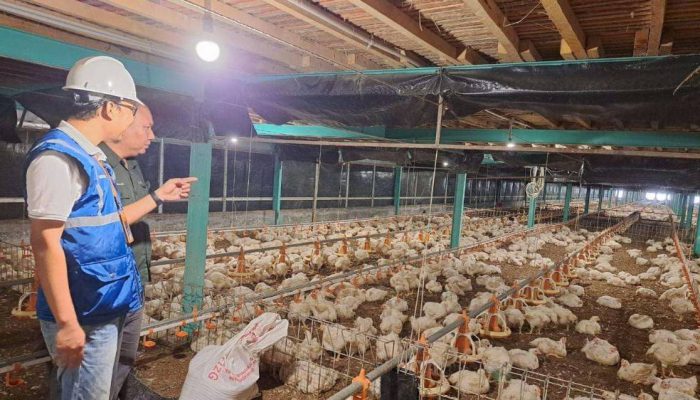 Pemerintah Pastikan Tarif Listrik Triwulan I 2026 Tidak Naik