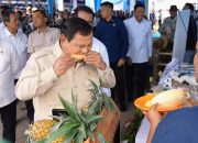 Presiden Prabowo Tinjau Panen Raya dan Coba Produk Pertanian
