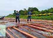 Ketapang, Kalbar: Gakkum Kehutanan Bongkar Industri Kayu Ilegal