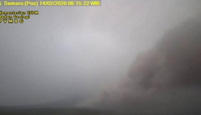 Erupsi Pagi Hari, Awan Panas Semeru Meluncur 6 Kilometer