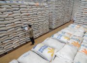Stok Pangan Aman di Tengah Gejolak Global dan Ancaman El Nino