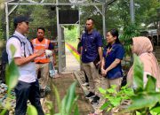 Terminal Teluk Lamong Gandeng Kebun Raya Purwodadi, Kembangkan Ekosistem Hijau Pelabuhan