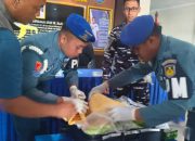 Penyelundupan 39 Ribu Benih Lobster Senilai Rp1,1 Miliar Digagalkan di Bandara Juanda