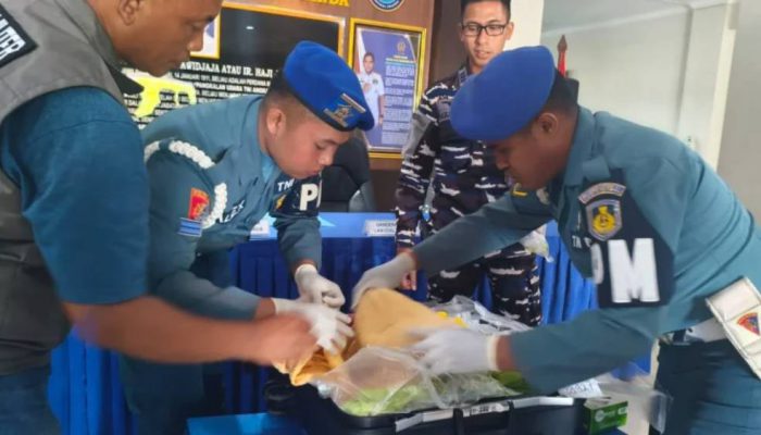 Penyelundupan 39 Ribu Benih Lobster Senilai Rp1,1 Miliar Digagalkan di Bandara Juanda