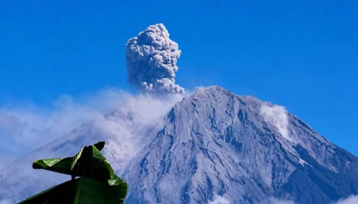 Gunung Semeru Erupsi Lima Kali, Letusan Tertinggi Capai 1,2 Kilometer.