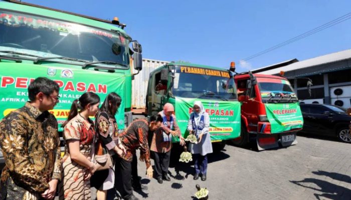 Produk Olahan Ikan Banyuwangi Makin Mendunia, 270 Ton Sarden Diekspor ke Berbagai Negara