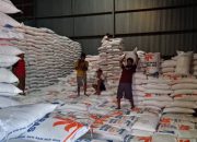 Produksi Padi Melimpah, Banyuwangi Amankan Stok Beras Nasional hingga 129 Ribu Ton