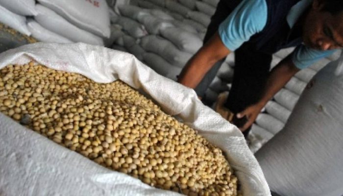 Impor Masih Tembus 93 Persen, Ini 10 Jurus Kemenko Pangan Genjot Produksi Kedelai Lokal
