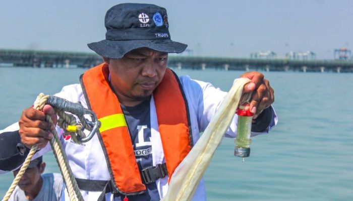 Terminal Teluk Lamong Dorong Pengelolaan Lingkungan Berbasis Sains Melalui Riset Biota Laut