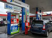 Pertamina: 82 Persen SPBU di Indonesia Sudah Sediakan Biodiesel B50