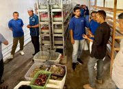 Dorong Ekonomi Pesisir, Terminal Teluk Lamong Raih Penghargaan Gold TJSL 2026