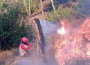 Karhutla Gunung Butak Padam, BPBD Malang Sebut Area Terdampak Capai 500 Hektare