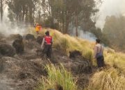 Kebakaran Gunung Bromo Jadi Perhatian Serius, Tim Khusus Kementerian Kehutanan Turun Tangan