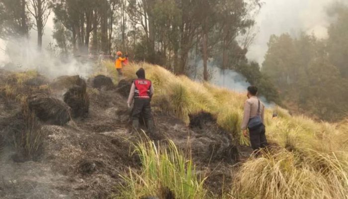 Kebakaran Gunung Bromo Jadi Perhatian Serius, Tim Khusus Kementerian Kehutanan Turun Tangan