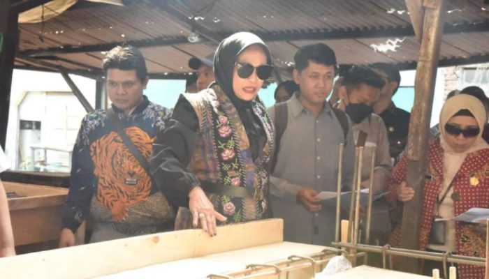 Proyek Pasar Taman Sidoarjo Disorot, Mimik Idayana: Jangan Main-main dengan APBD