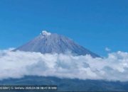 Gunung Semeru Erupsi 126 Detik, Abu Tebal Bergerak ke Arah Utara