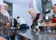 Banyuwangi Perkuat Pencegahan Rabies, 315 Hewan Peliharaan Ikuti Vaksinasi Gratis
