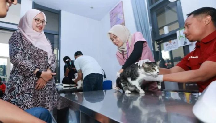 Banyuwangi Perkuat Pencegahan Rabies, 315 Hewan Peliharaan Ikuti Vaksinasi Gratis