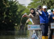 Hari Sungai Sedunia 2026: Ecoton dan Warga Angkut 3,12 Ton Sampah dari Kali Tebu
