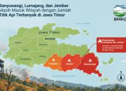 Karhutla Mengintai, Jember, Lumajang dan Banyuwangi Catat Hotspot Tinggi