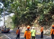 BPBD Jember dan BBPJN Tangani Retakan Jalan Gunung Gumitir Jelang Musim Hujan