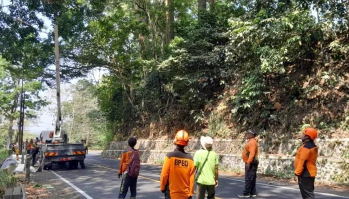 BPBD Jember dan BBPJN Tangani Retakan Jalan Gunung Gumitir Jelang Musim Hujan